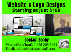 LIMITED OFFER BIZ WEBSITES LOGOS OTHER COOL STUFF-STARTS @$199